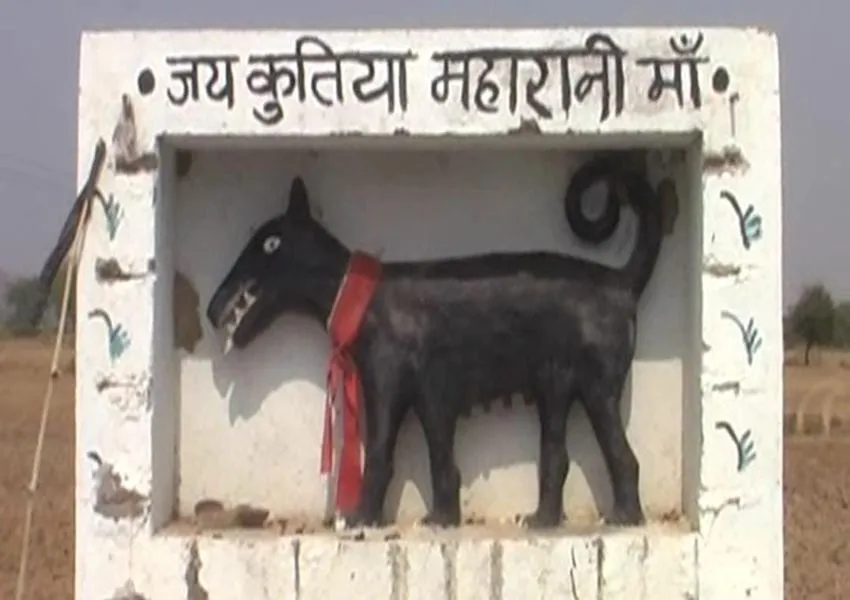 UP के इस जिले में है कुतिया मंदिर, भक्तों की पूरी होती है हर मनोकामना, सच्चाई जान हो जाएंगे हैरान 