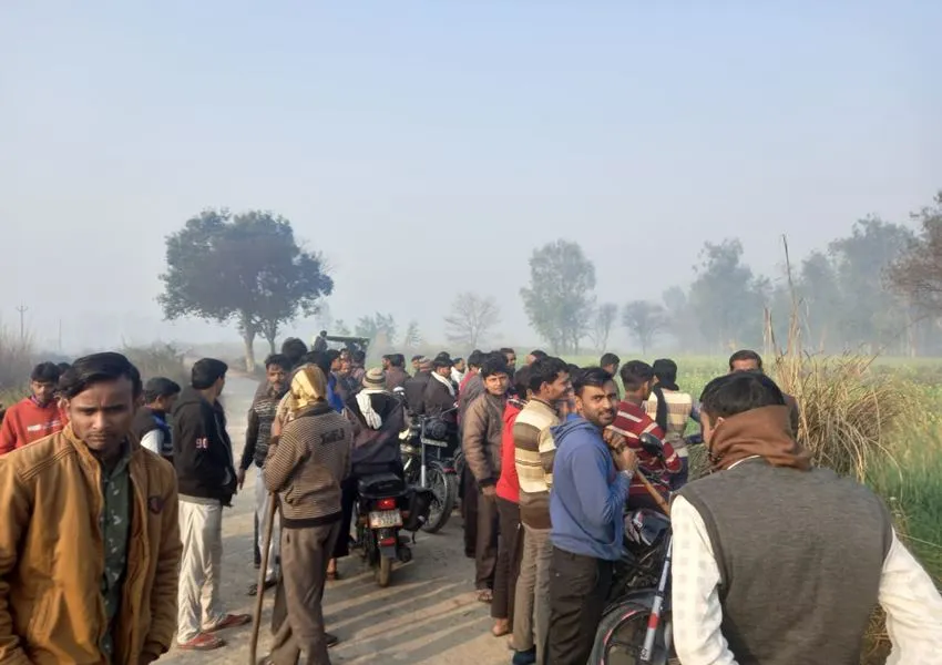 हरदोई: शाहाबाद में दिखा टाइगर तो  ग्रामीणों में मचा हड़कंप, लाठी-डंडे लेकर जमा हुए लोग
