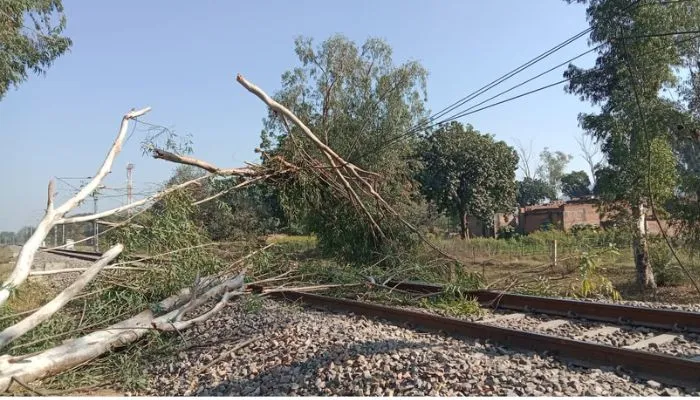 Chitrakoot News : पेड़ गिरने से टूटा तार, ट्रेनों का आवागमन प्रभावित, यात्रियों ने किया हंगामा