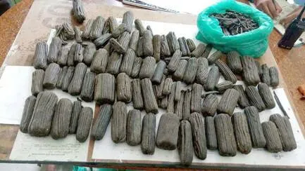 टनकपुर: नेपाल की दो महिलाओं को चरस तस्करी में 10 साल की सजा