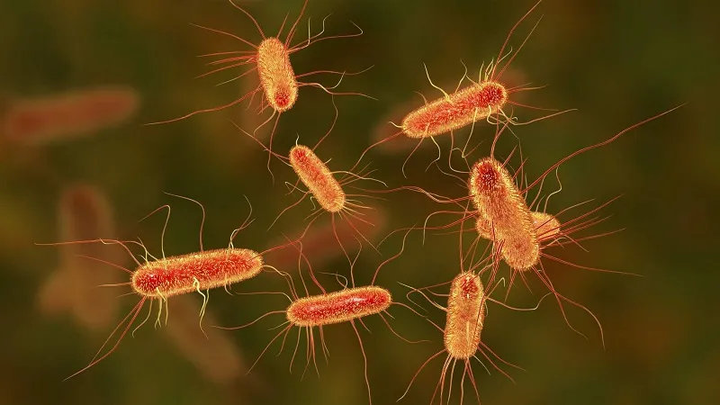 'सुपरबग' के उद्भव और प्रसार को तेज कर रहा है जलवायु परिवर्तन, मामूली इंफेक्शन भी ले सकता है जान