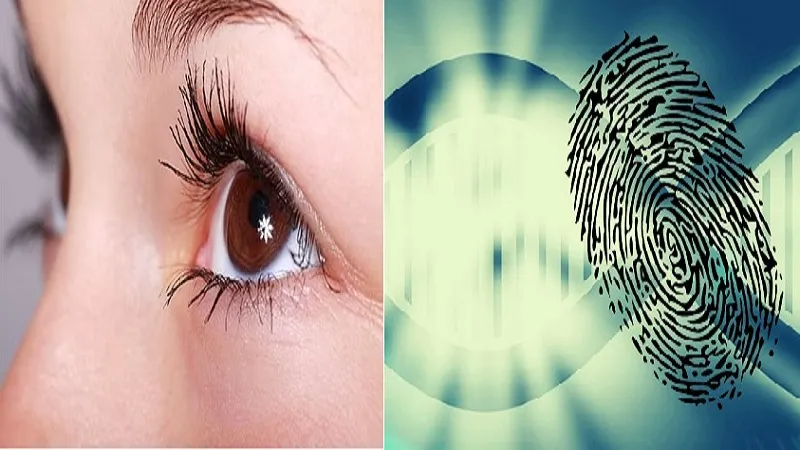 डीएनए हमारे Fingerprints और आंखों के रंग को प्रभावित करता है, जानिए कैसे? 