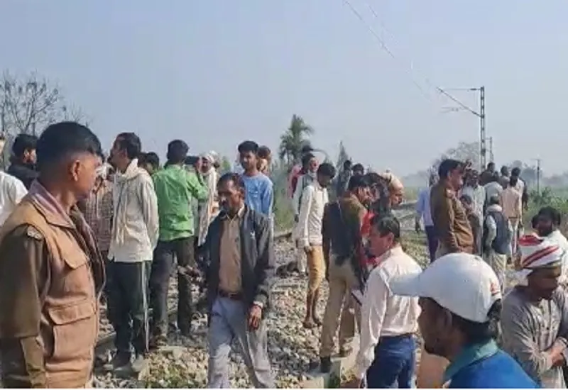 संभल : रेलवे ट्रैक पर ट्रेन से कटकर आठ गोवंश की मौत,  ग्रामीणों में आक्रोश 