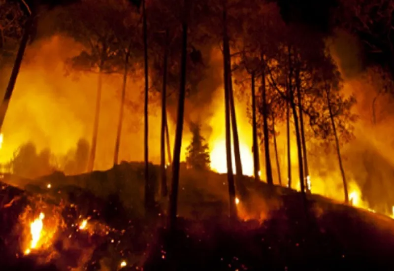 Chile Wildfire : चिली के जंगल में लगी आग, 13 लोगों की मौत...राष्ट्रीय आपदा घोषित 