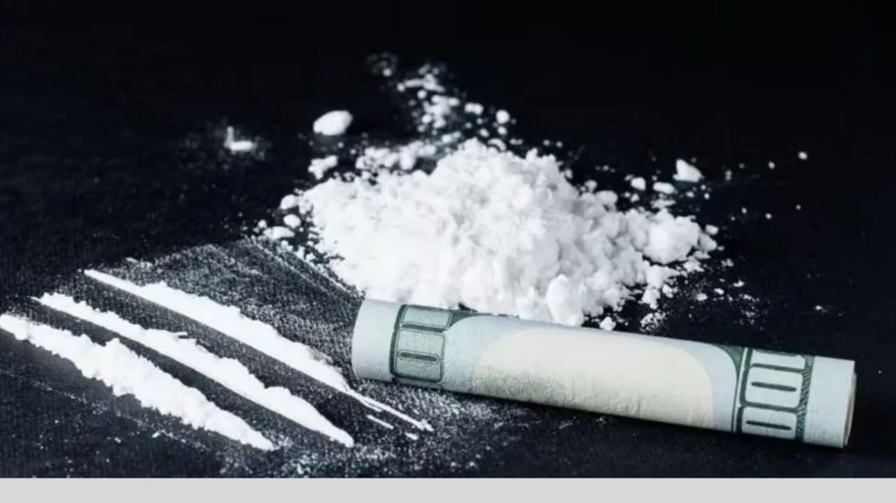 हल्द्वानीः माफिया का नया बिजनेस प्लान, दस लोग जोड़ने पर ड्रग्स की डोज फ्री