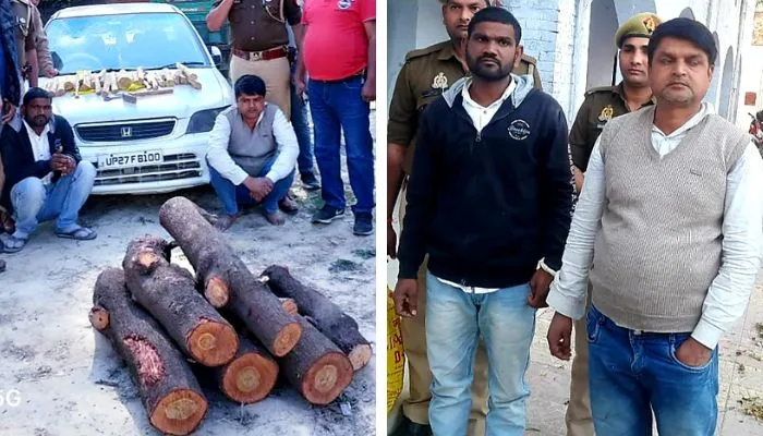 पुष्पा फिल्म से चुराया आइडिया और करने लगे चंदन की तस्करी, रीवा से कानपुर और कन्नौज ले जाकर बेचते, ऐसे पकड़े गए