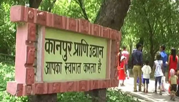 Kanpur Zoo में कुनबा बढ़ाने की तैयारी, जानवरों का परिवार बढ़ाने के लिए दूसरे जू से होगी अदला बदली