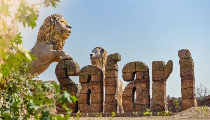Etawah News : लायन सफारी पार्क में तीन दिन पहले जन्मे शावक की मौत, मथुरा में होगा पोस्टमार्टम 