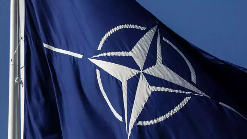 NATO की वेबसाइटों पर साइबर हमले, कई Website हैक