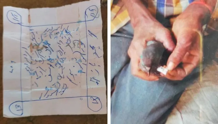 Kanpur News : खून से सनी चिट्ठी लेकर पहुंचा कबूतर, ग्रामीणों ने पिजड़े में किया कैद, उर्दू में लिखा संदेश