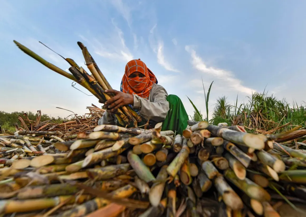 खटीमा: सप्ताह भर से गन्ना नहीं तुलने से भड़के किसान, केंद्र प्रभारी को घेरा