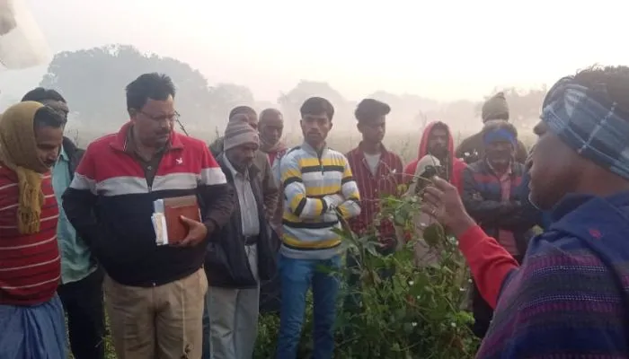 Theft In Unnao: शिव बारात के बाद निकली चोरों की बारात, सात घरों को बनाया निशाना, लाखों का माल पार