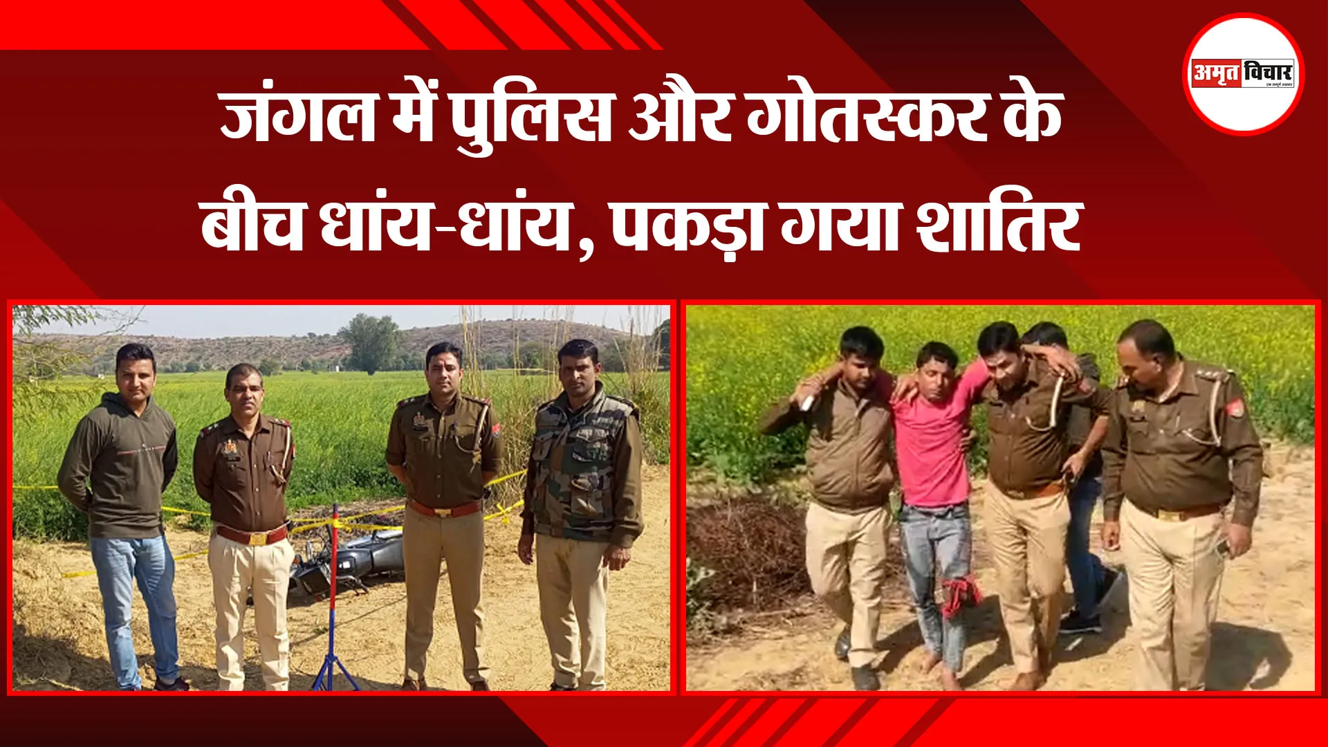 मथुरा: जंगल में पुलिस और गोतस्कर के बीच धांय-धांय, पकड़ा गया शातिर