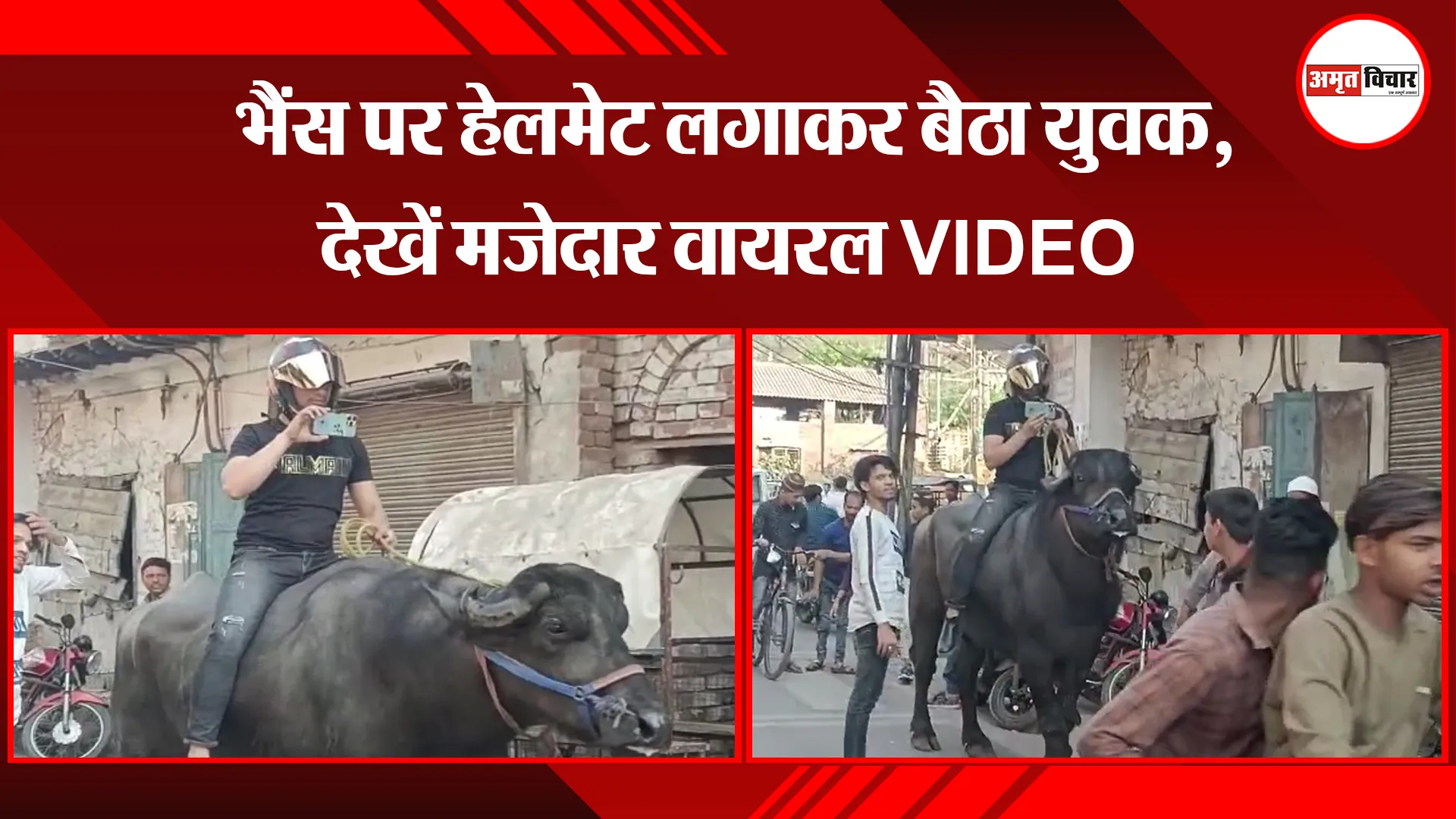 मुरादाबाद: भैंस पर हेलमेट लगाकर बैठा युवक, देखें मजेदार वायरल VIDEO