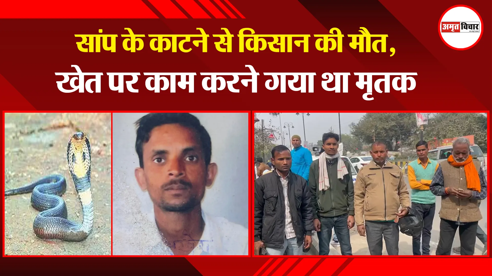 बरेली: सांप के काटने से किसान की मौत, खेत पर काम करने गया था मृतक