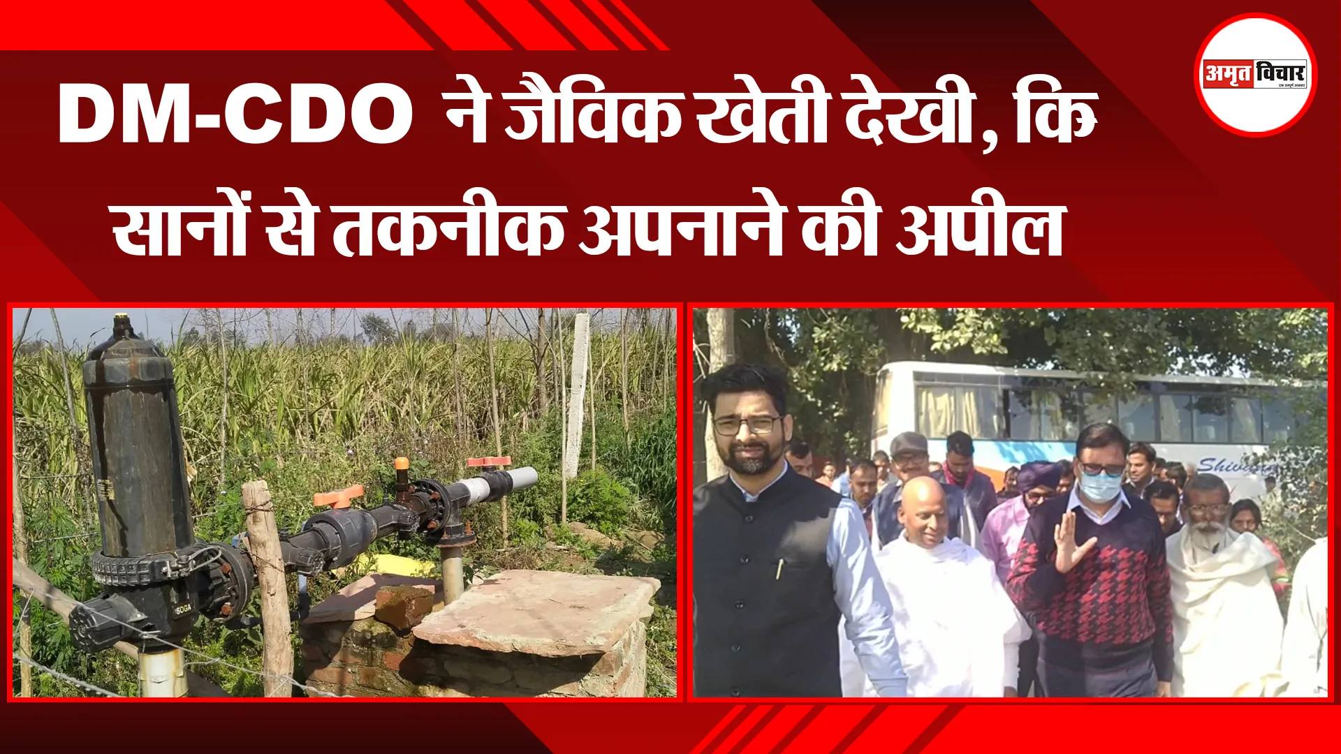 बरेली: DM-CDO ने जैविक खेती देखी, किसानों से तकनीक अपनाने की अपील