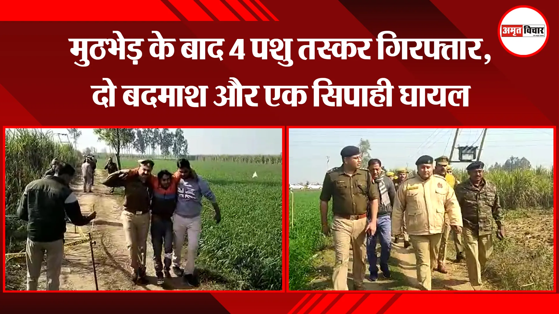 संभल: मुठभेड़ के बाद 4 पशु तस्कर गिरफ्तार, दो बदमाश और एक सिपाही घायल