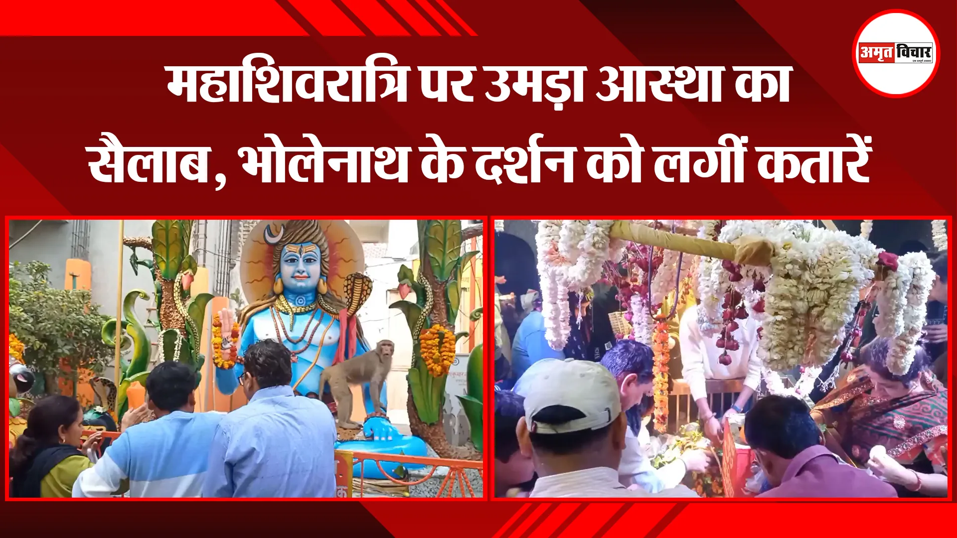 मुरादाबाद: महाशिवरात्रि पर उमड़ा आस्था का सैलाब, भोलेनाथ के दर्शन को लगीं कतारें
