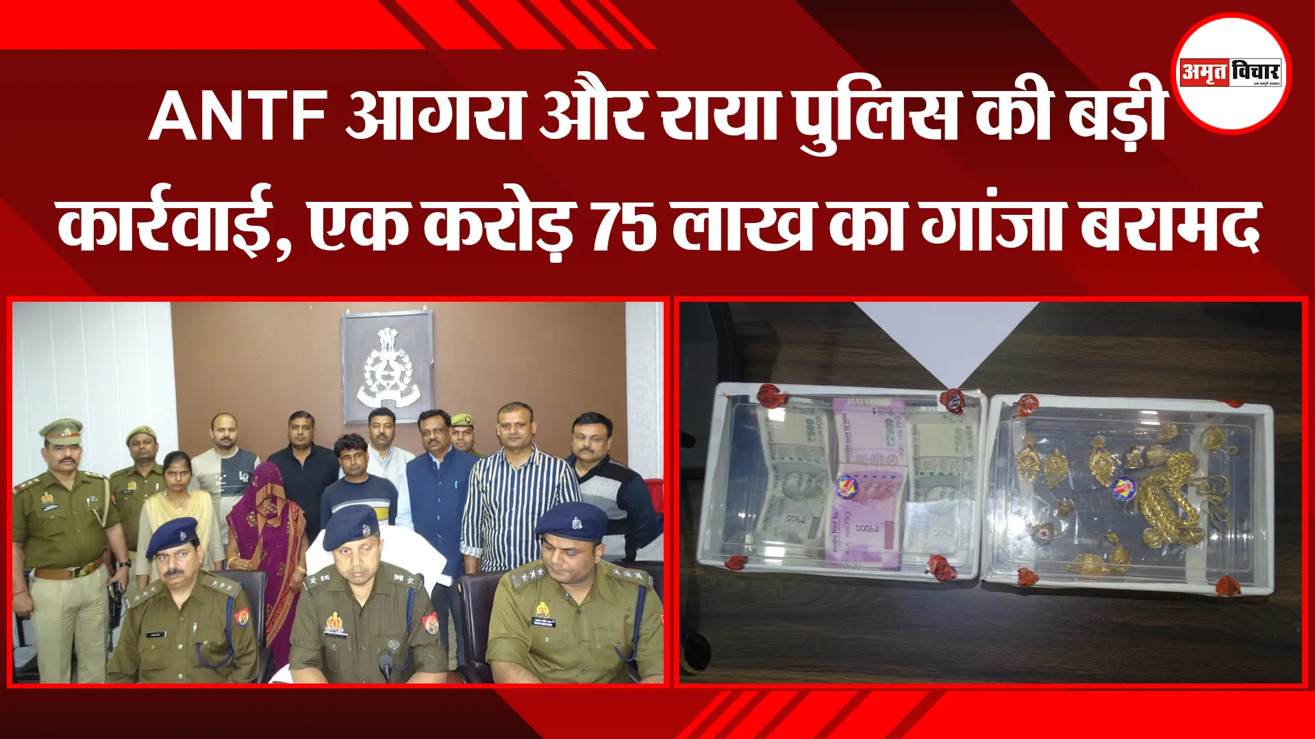 मथुरा: ANTF आगरा और राया पुलिस की बड़ी कार्रवाई, एक करोड़ 75 लाख का गांजा बरामद