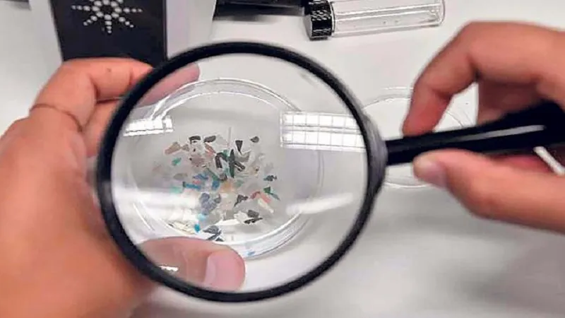  सूक्ष्म प्लास्टिक कण शरीर में पहुंचकर पहुंचा सकते हैं स्वास्थ्य को नुकसान, इससे होती हैं ये बीमारियां