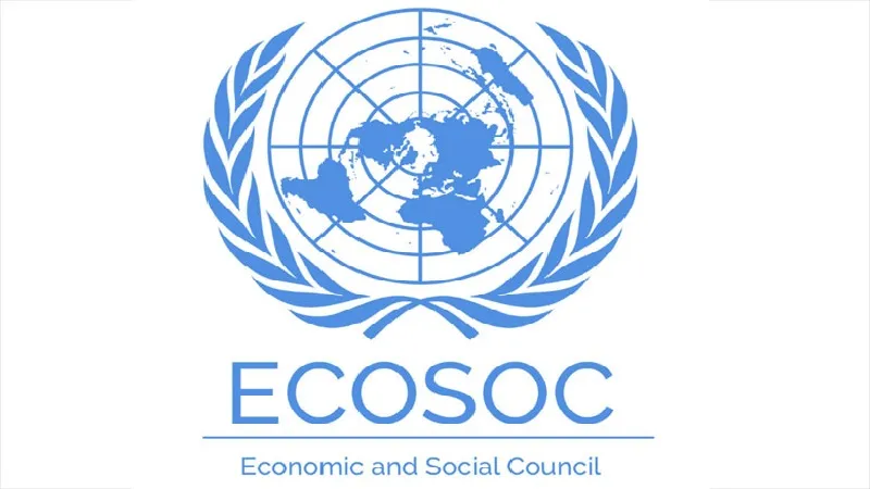 Indian NGO ने संरा ECOSOC के वार्षिक सत्र में अपनी सड़क सुरक्षा पहल का किया जिक्र 
