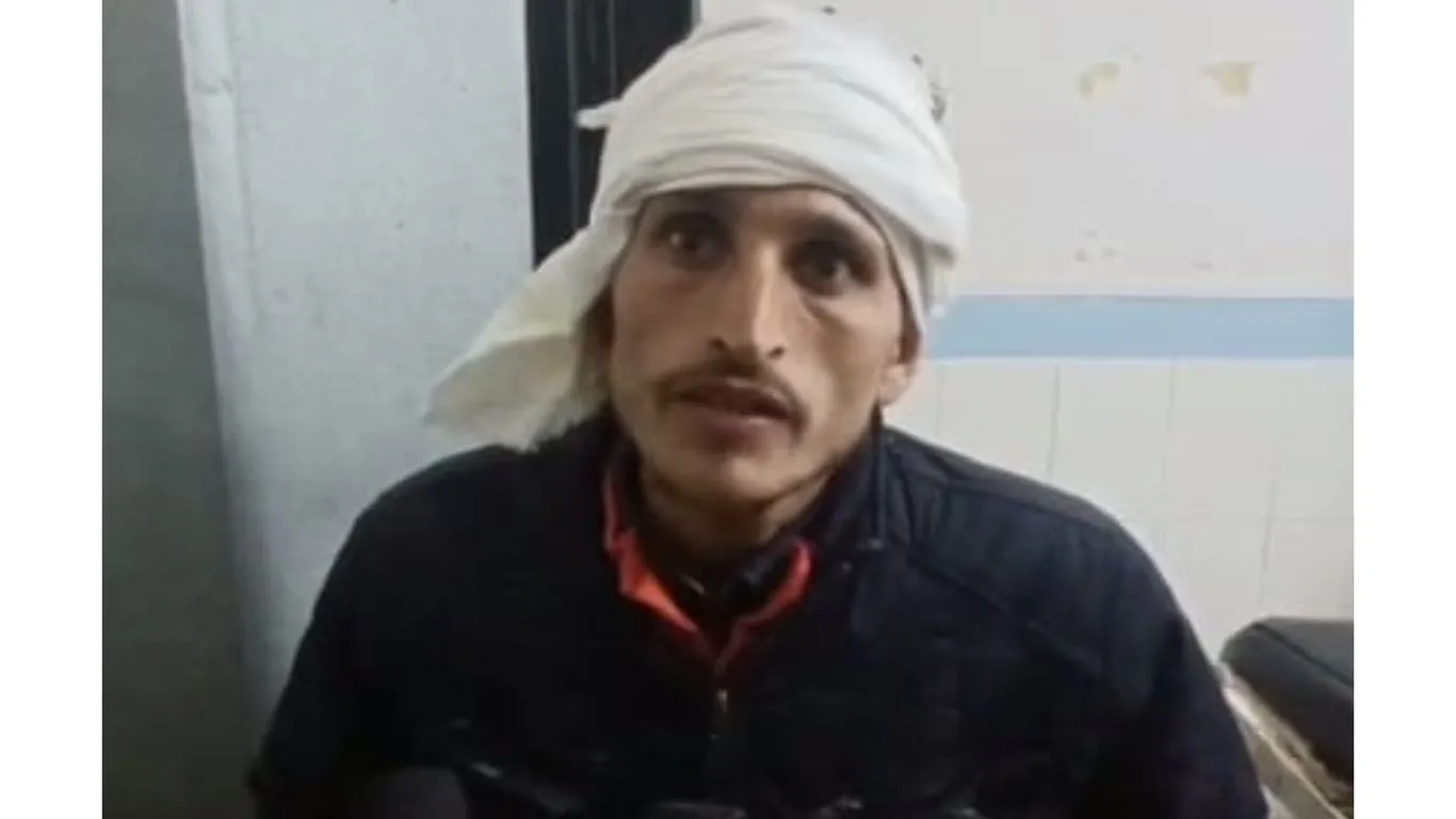 रामनगरः बन्नाखेड़ा के पास बाघ ने किया बाइक सवार युवकों पर हमला, एक घायल