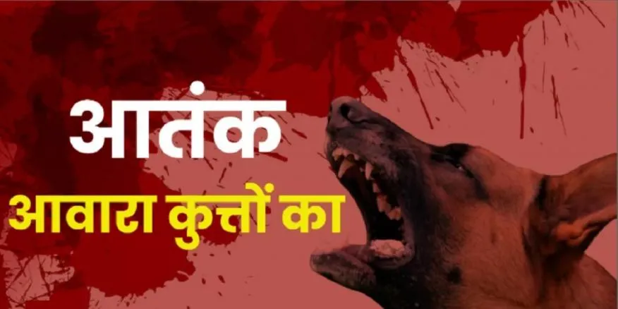 बरेली: हिंसक कुत्तों का आतंक जारी, पांच वर्षीय मासूम को नोच डाला