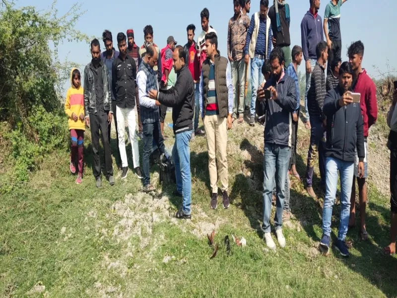 रायबरेली: तालाब के किनारे मृत मिला सारस, एक गंभीर, जहर देकर मारने का आरोप