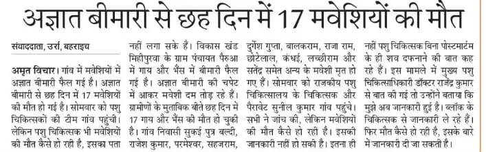 WhatsApp Image 2023-02-02 at 14.18.41