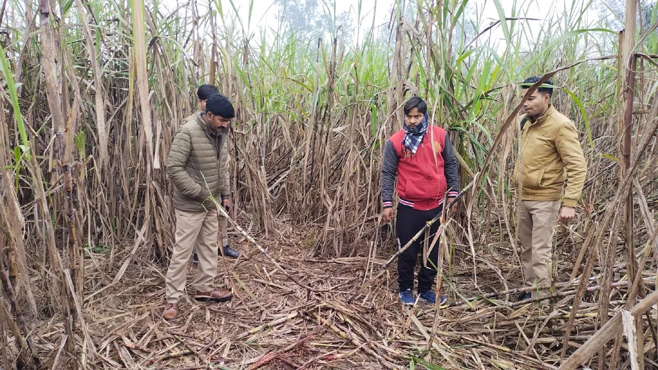 पीलीभीत: मेड़ विवाद की रंजिश में फसल देखने गए किसान की हत्या, छानबीन में जुटी पुलिस