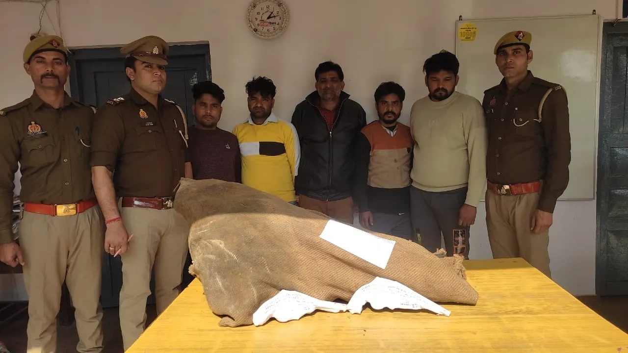 अमरोहा: डकैती की योजना बना रहे पांच शातिर गिरफ्तार, कई वारदातों को दे चुके हैं अंजाम