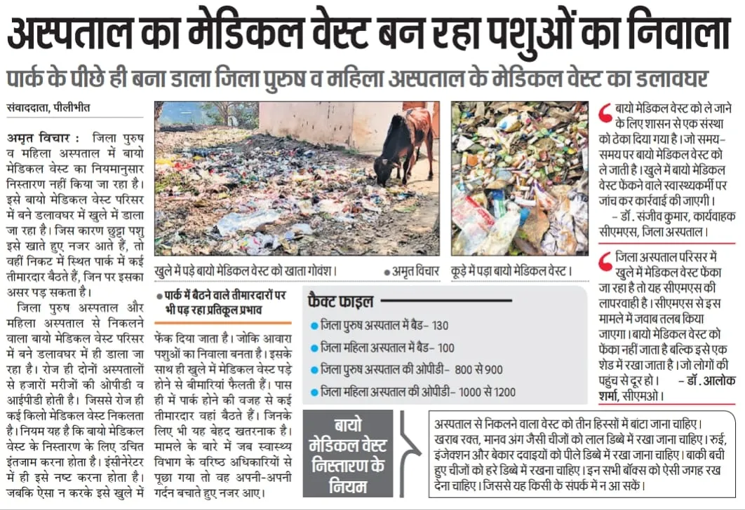 WhatsApp Image 2023-02-10 at 8.38.17 PM