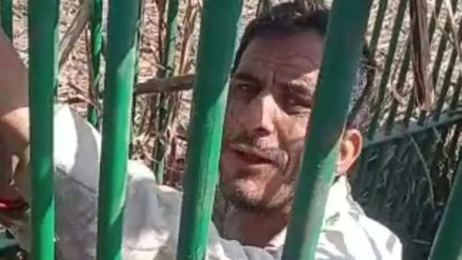 VIDEO : तेंदुआ पकड़ने के लिए लगाया पिंजरा, फंस गया मुर्गा चोर