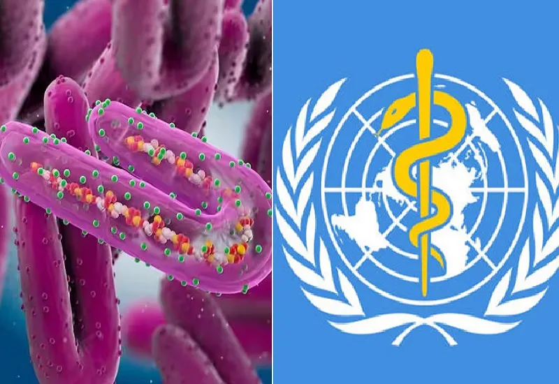 Marburg Virus Outbreak : अफ्रीकी देशों में फैल रहा 'मारबर्ग वायरस', इस देश में नौ लोगों की मौत, WHO ने बुलाई बैठक 