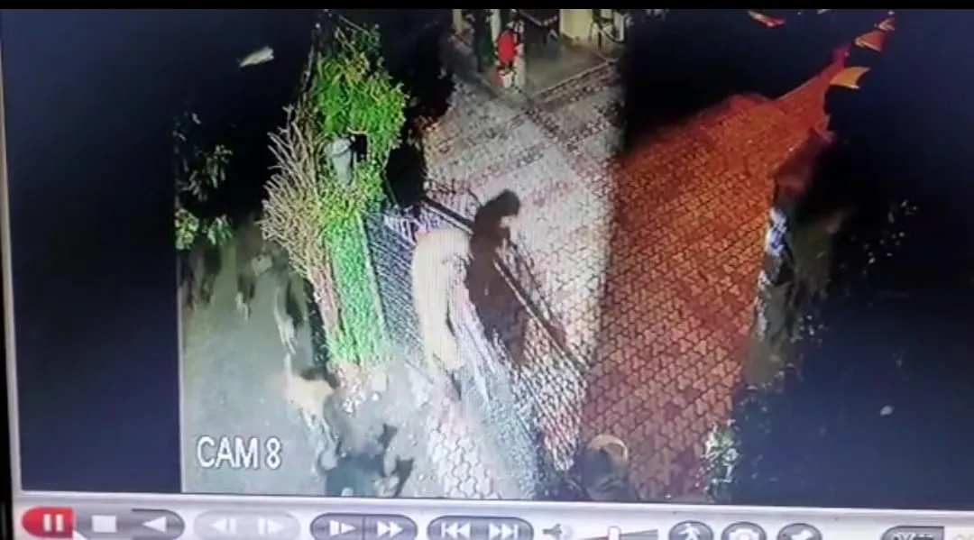 नैनीताल: कुत्तों से डरकर भागा गुलदार, होटल परिसर में घुसा 