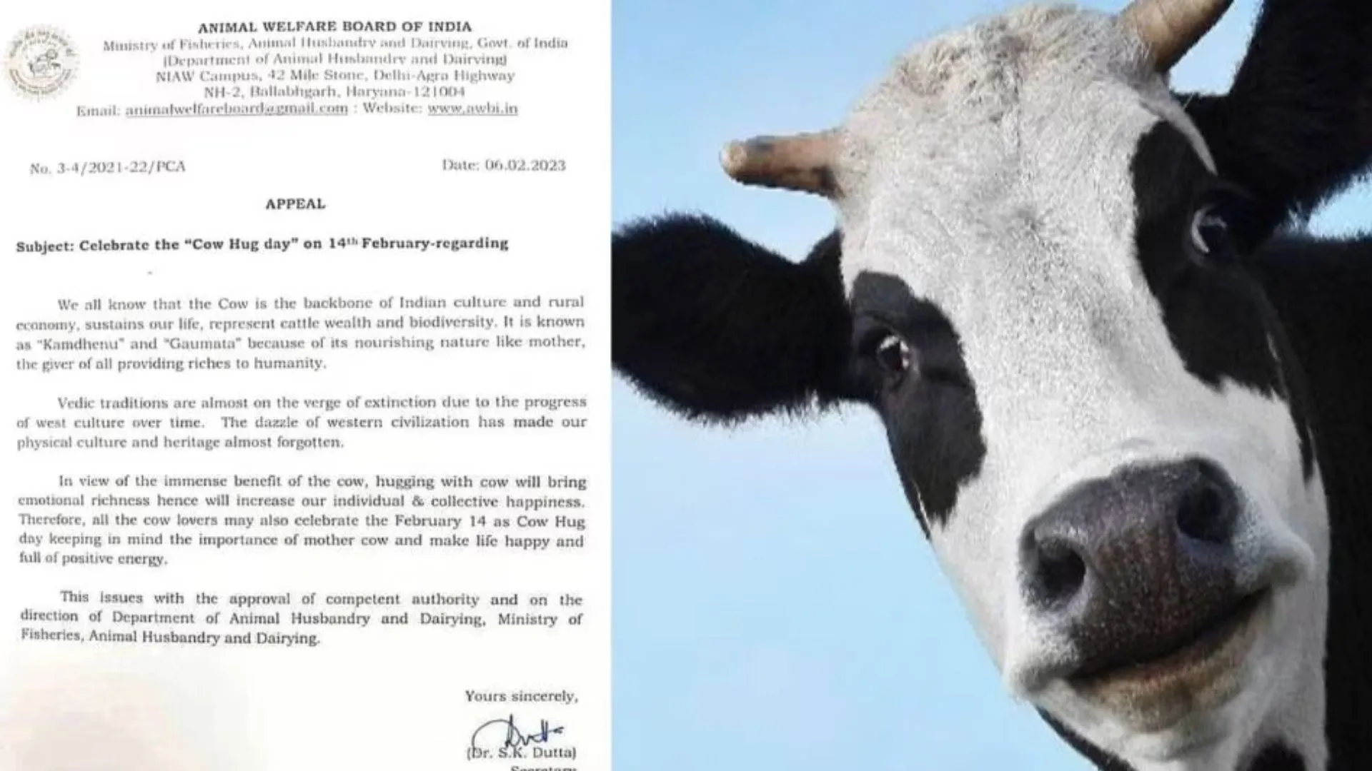 Cow Hugging : वैलेंटाइन डे नहीं 14 फरवरी को मनाएं Cow Hug Day, जानिए किसने की ये अपील