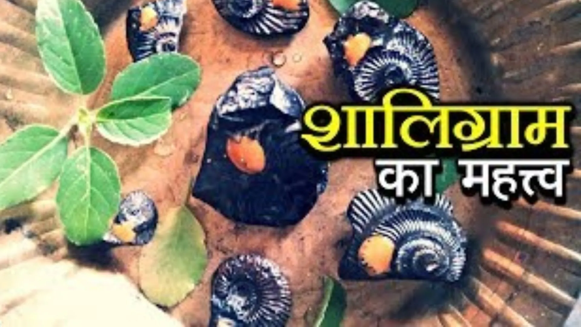 Shaligram : क्या है शालिग्राम पत्थर, कैसे बनता है, क्यों होती है पूजा... जानिए विस्तार से सबकुछ