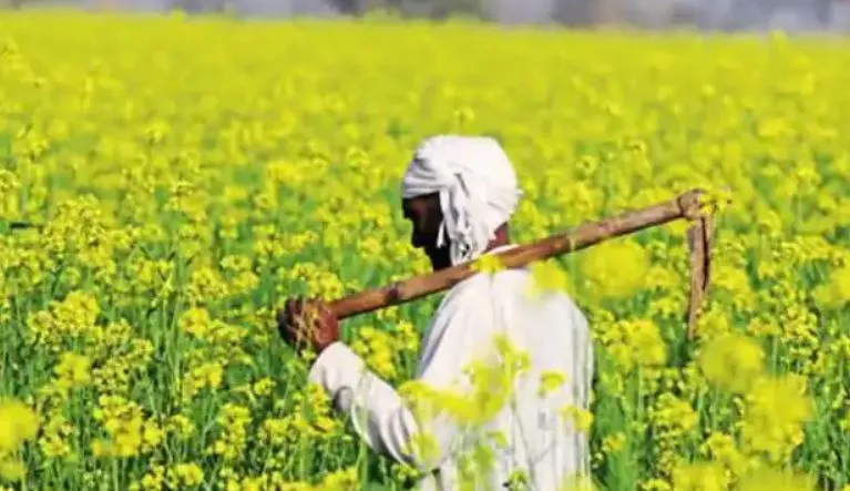 किसान की समृद्धि 