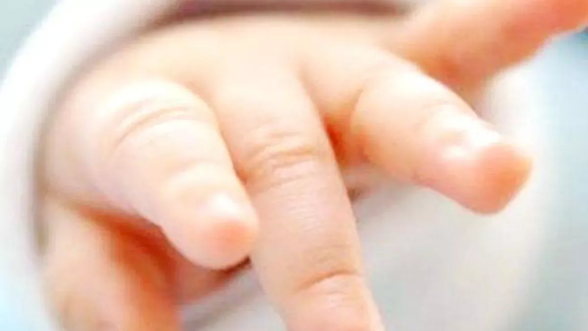 हल्द्वानीः बरसाती नहर में मिला नवजात का शव, क्षेत्र में चर्चा का बाजार गर्म