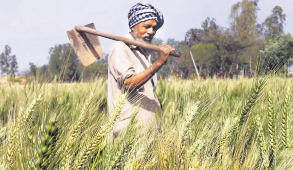 इस राज्य में सामान्य से अधिक पहुंचा तापमान, गेहूं उत्पादक किसान परेशान 