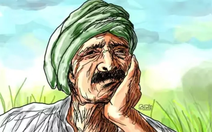 बरेली: फसलों पर तापमान की मार, चिंता में डूबे किसान