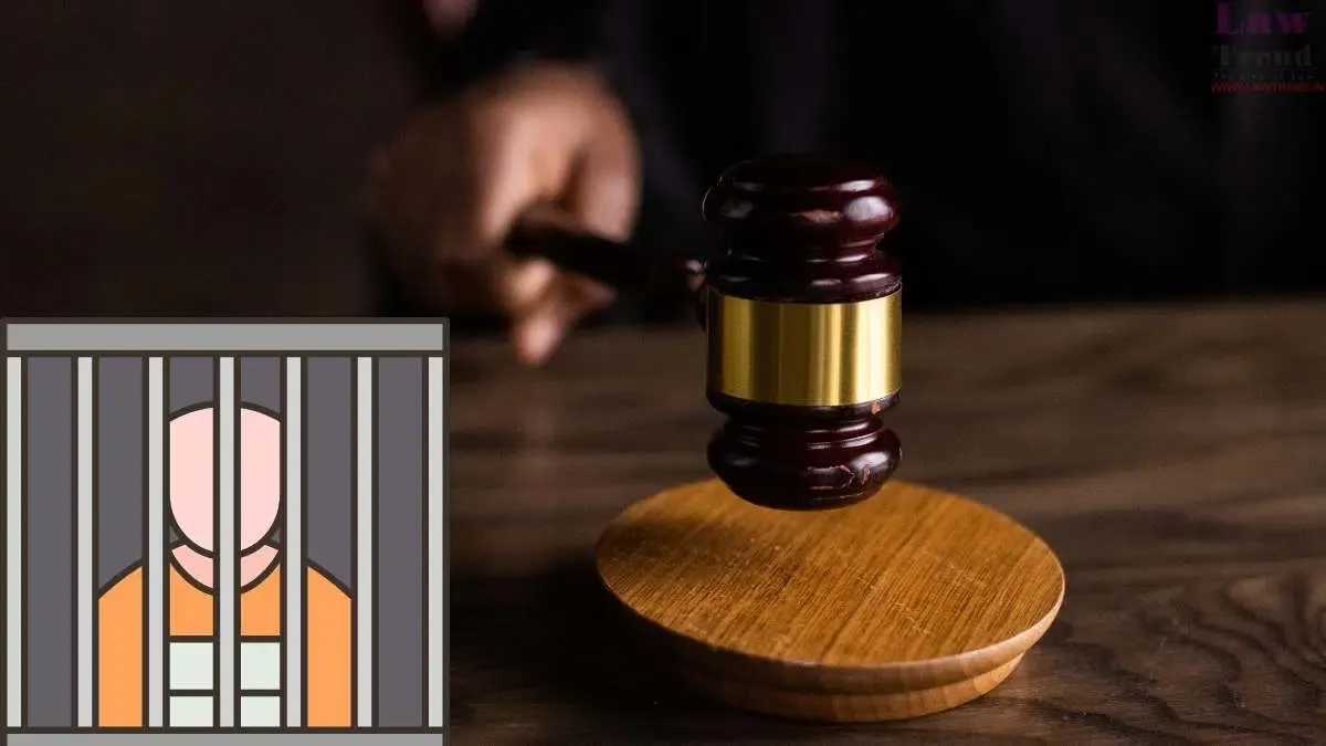 दिल्ली हाईकोर्ट ने बच्ची का यौन उत्पीड़न करने वाले मौलवी की सजा को रखा बरकरार