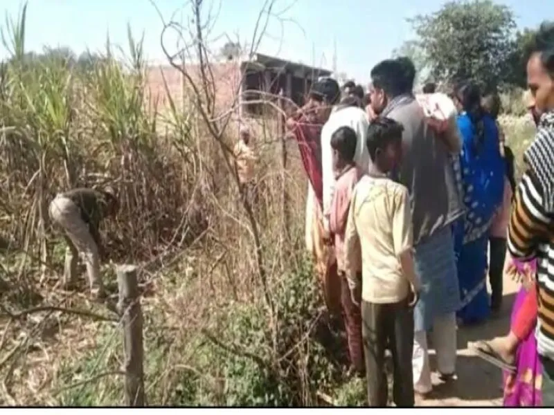 हरदोई : गन्ने के खेत में पड़ा मिला नवजात का शव, पुलिस जांच में जुटी