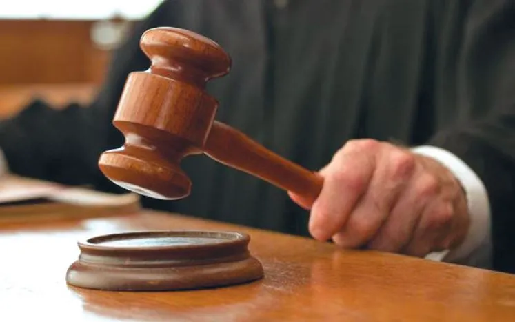 रामपुर: महिला को प्रताड़ित करने पर कोर्ट ने डाला पांच हजार जुर्माना, जानिए पूरा मामला