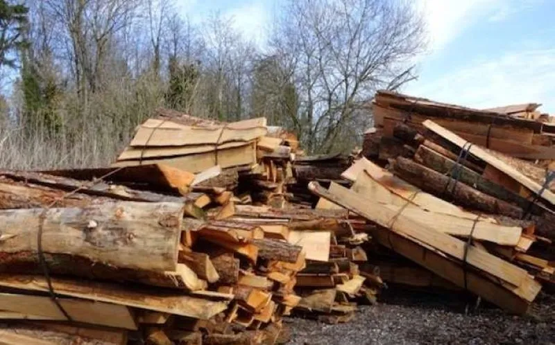 गरमपानी: अब टैक्सी यूनियन ने भी उठाई लकड़ी टॉल स्थानांतरित किए जाने की मांग