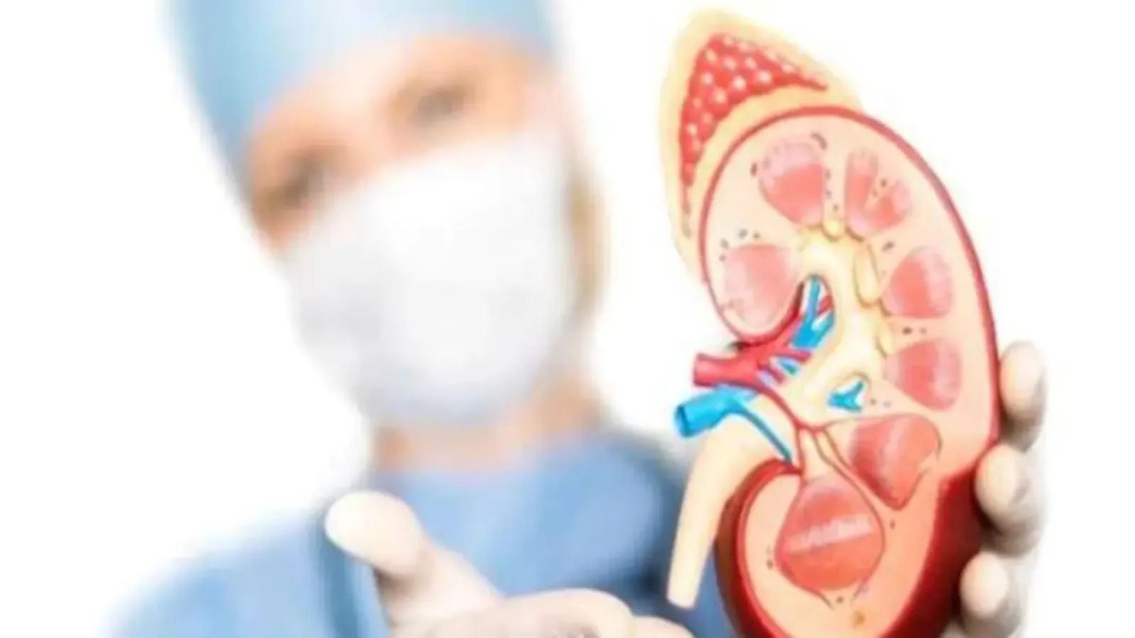 किडनी को रोगमुक्त कर सकती है आयुर्वेदिक दवा नीरी केएफटी, नए अध्ययन में खुलासा