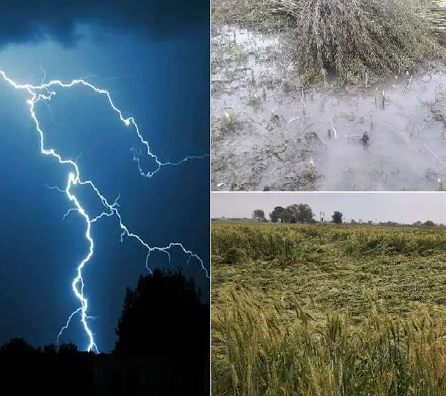 मौसम की मार 
