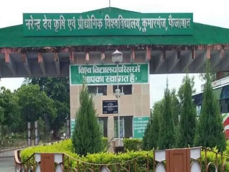 अयोध्या: कृषि विश्वविद्यालय के कुलपति पद की दौड़ में कई दावेदार, कुलाधिपति के फैसले पर टिकी हुई हैं सबकी निगाहें