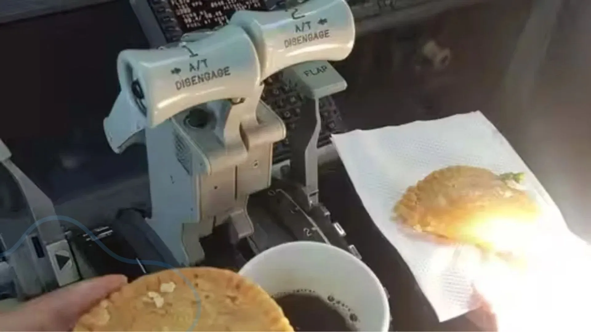 बेरंग हुई होली ! फ्लाइट में गुझिया खाना पड़ा महंगा, दो पायलटों को ड्यूटी से हटाया