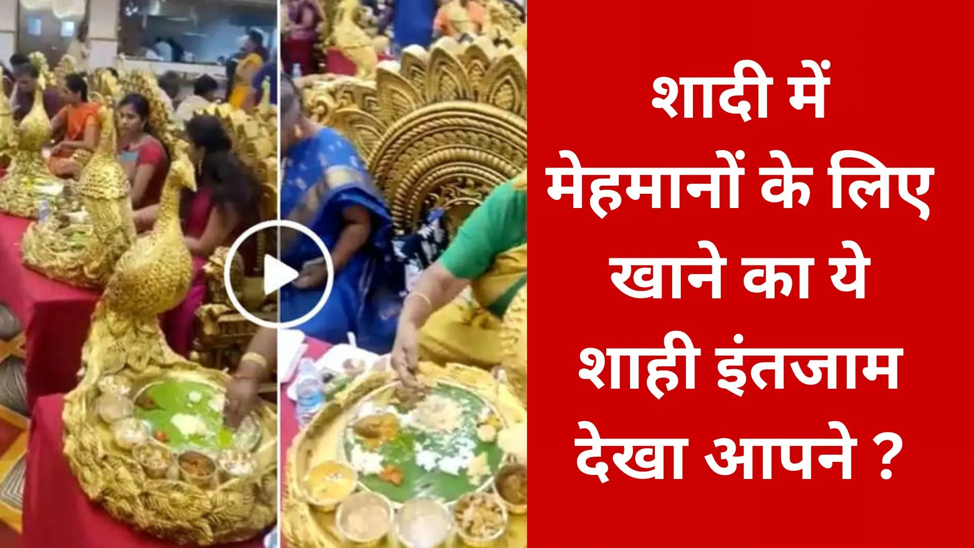 Video: शादी में मेहमानों के लिए खाने का ये शाही इंतजाम देखा आपने ?, आप भी कहेंगे- काश मैं भी वहां होता 